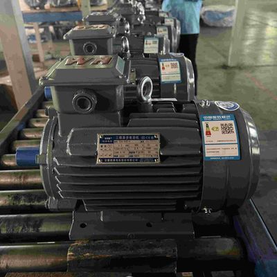 220V Waterproof Single Phase Electric Motors For Extruding Machine