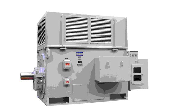 100KW 6KV Induction High Power Electric Motor With GOST Certified