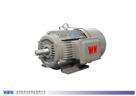 Water Proof Special Electric Motors Three Phase Induction Vertical Hollow Shaft Motors