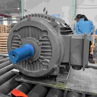 Dust Proof Three Phase High Efficiency Electric Motor For Dust Area With GOST