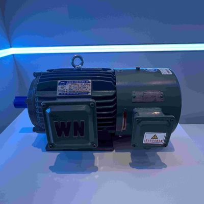 Steel IE3 High Efficient Three Phase Electric Motors For Machine Tools