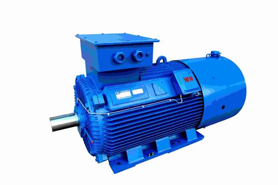 Medium And High Voltage Induction Motors 6KV Waterproof